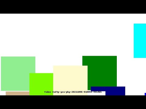 Video #sftp-gcs-pkg-20211006-010059-991465