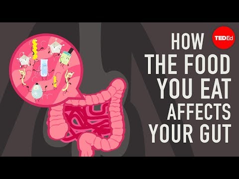 סרטון המסביר כיצד המזון שאנו אוכלים משפיע על המעיים שלנו
