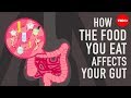 How The Food You Eat Affects Your Gut Shilpa Ravella