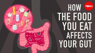 TED-Ed - How The Food You Eat Affects Your Gut
