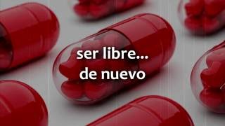 Cold - Another pill (Sub. Español)