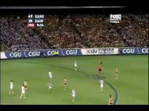 AFL - Hawthorn Finals 2007