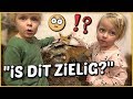 "WAAROM ZiJN DEZE DiEREN DOOD MAM?"  ? (voorjaarsvak 2019) | Bellinga Familie Vloggers #1287