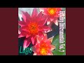 Chill out now chuck (Funky Child Modern Mystery)