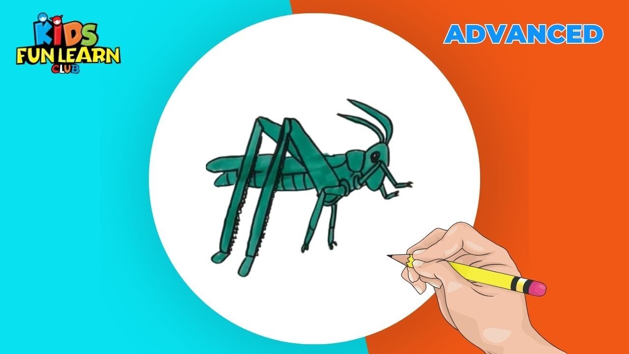 How to Draw Grasshopper