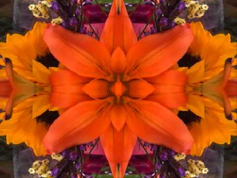 Baby It's Alright (by the Bap Kennedy Trio live in Italy 2015)