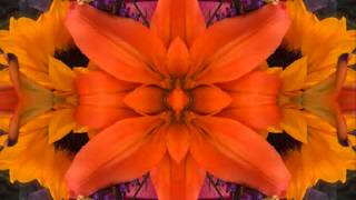 Baby It's Alright (by the Bap Kennedy Trio) live!