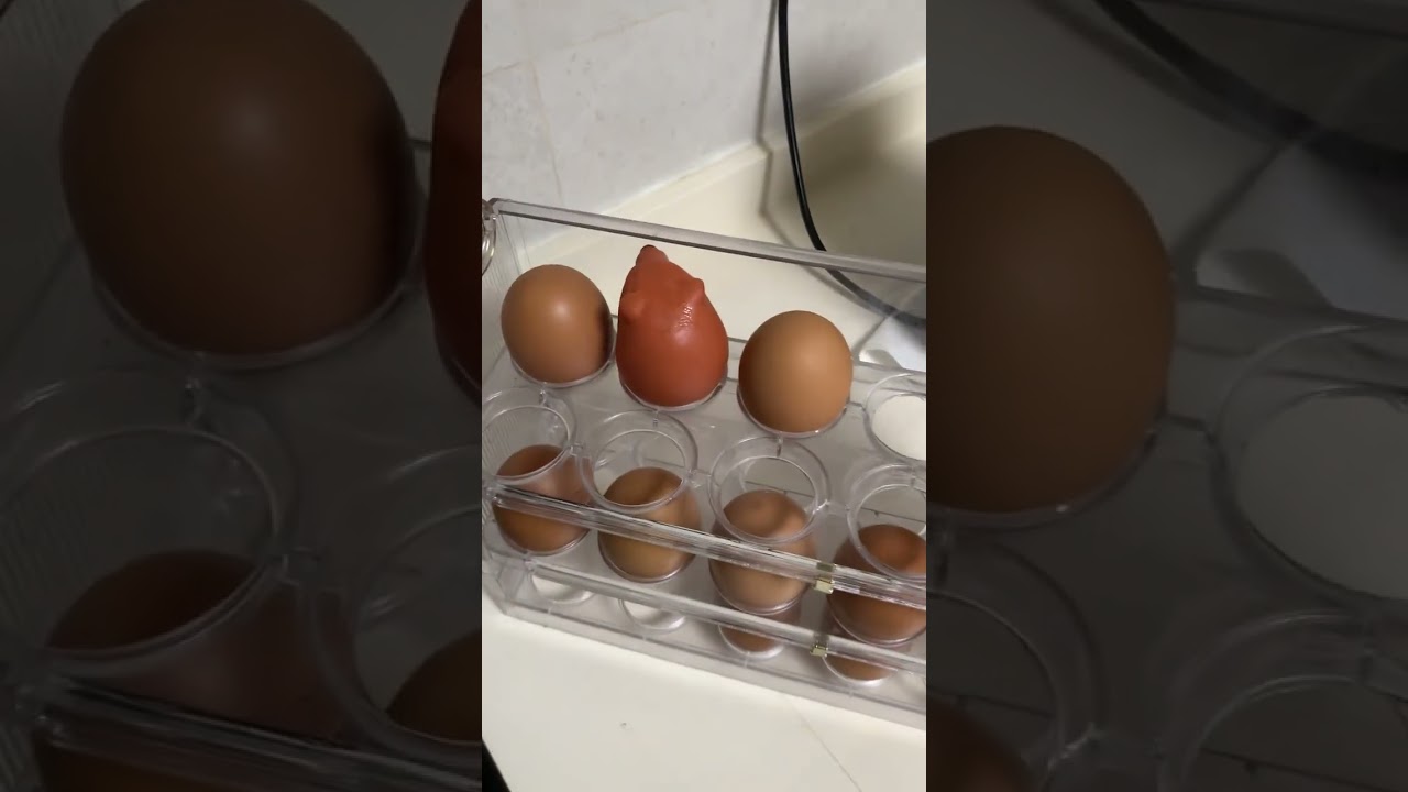 で柴子を養子にする 🔗 iconixstore.com/japan