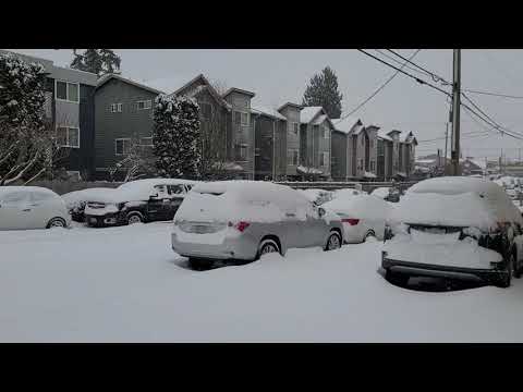 gran nevada  en Seattle wa  12 y 13 de febrero  2021