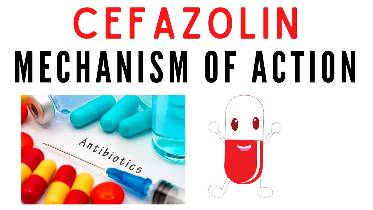 Cefazolin | Uses, mechanism of action - YouTube