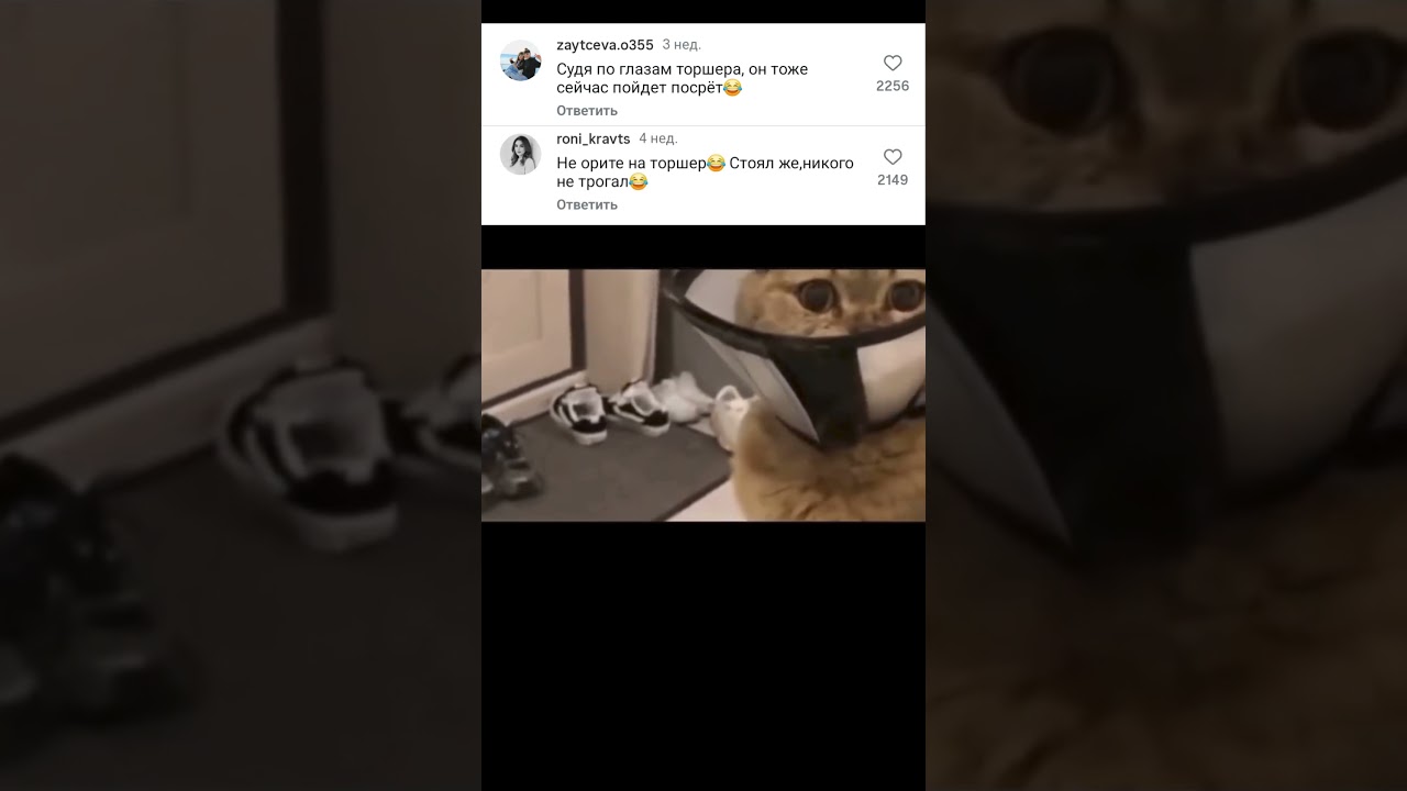 ��������� ����� �� ����� - ��� ������ ����