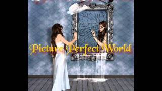 Picture Perfect World