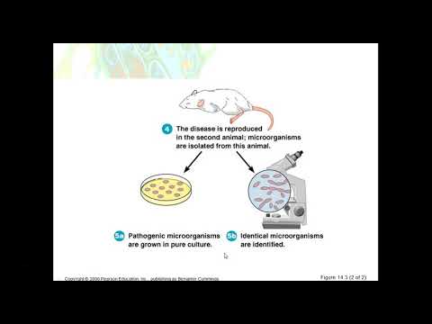 Micro Chapter 14 - Epidemiology & Infectious Diseases