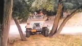 Manimal - 01x03 - L'orso dorato (3 di 3)