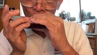 Video thumbnail for "Sarumbanggi" in Chrometta 12 C Harmonica by Vir Leynes