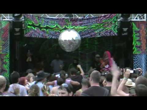 Psycrowdelica 2009 - Cosmo & Kashyyyk & Megalopsy & Kindzadza