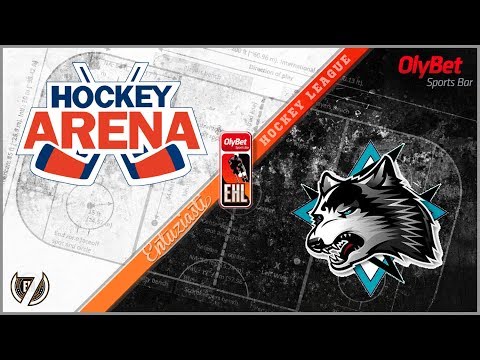 2017 11 19 HOCKEY ARENA - VILKAČI