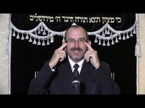 Genesis Chapter 3 Part 1