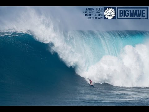 15/01/2016 - Aaron Gold em Jaws - BIDU / @bidudigital