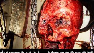 Infernal Necropsy - Pleasure Of Molestation (Cover)