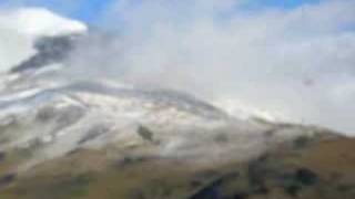 Submersed-''Unconcerned''.