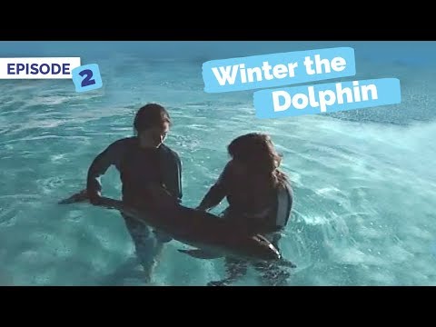 download lagu mp3 mp4 Nothing Survives The Winter EP, download mp3 Nothing Survives The Winter EP free download, download mp3 Nothing Survives The Winter EP
