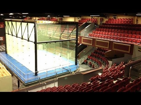 World Handball Championships