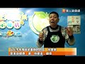 挑薑黃大約在秋季　秋鬱金品質最佳