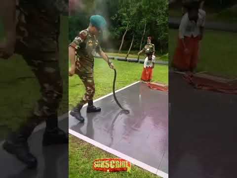 🐍snake Commando training - কমান্ডোতে সাপের খেলা😳##shorts#snake#army#bdarmy#militaryTraining