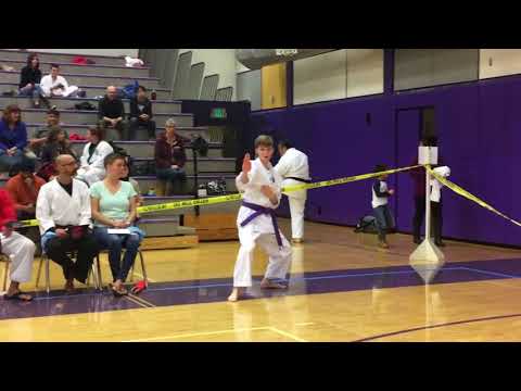 Nik's Pinan Nidan Kata demonstration
