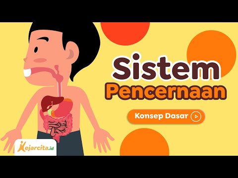 Sistem Pencernaan | IPA SD