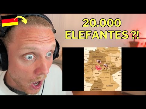 🇩🇪 Alemán reacciona a ¡¿Botswana enviará 20,000 elefantes a Alemania!?
