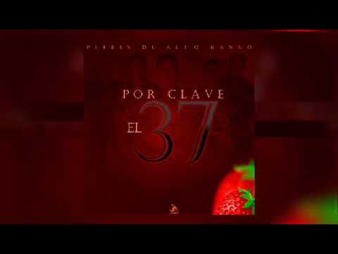 Por Clave El 37 - Plebes De Alto Rango