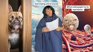 Funny IMDIMPEY Tik Tok Compilation | DIMPEY Comedy  Video