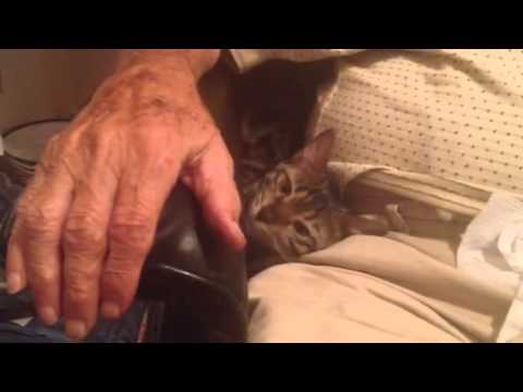 Dad and baby bengal 2014