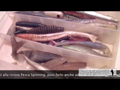 Vermi a un coniglio come occhiata Come rapidamente liberarsi da helminths
