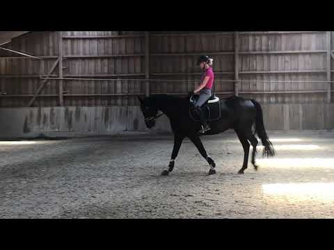 Faunus 07.2020 vor Abholung bei Nicole Hofmann Video 14 -  IMG 1319