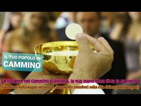 IL TUO POPOLO IN CAMMINO - Fra. Robson de Aguiar Ribeiro,OFMCap. (CL N. 358) @iblogcattolici