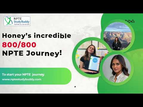 How I scored 800/800 in my First NPTE attempt | Honey Bodara