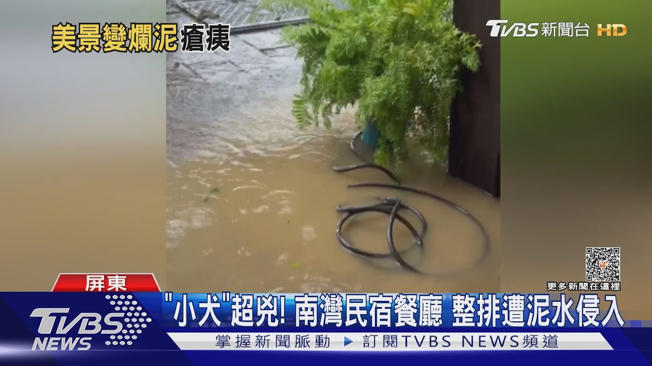 小犬「超派」!狂風後大雨南灣民宿泥流入侵 雙十連假恐泡湯