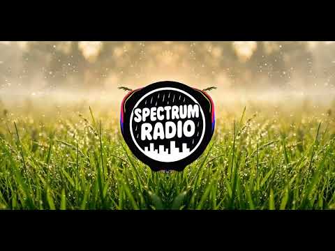 Heeltemal stom - Jakkals vibes 