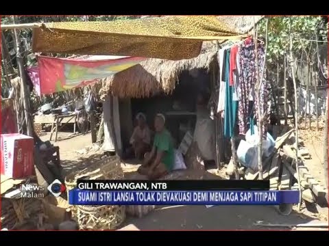 Apa yang harus dilakukan jika anggota menjadi lebih kecil Kenaikan minyak penis