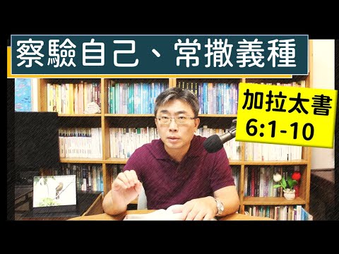 2024.10.30∣活潑的生命∣加拉太書6:1-10 逐節講解∣察驗自己、常撒義種