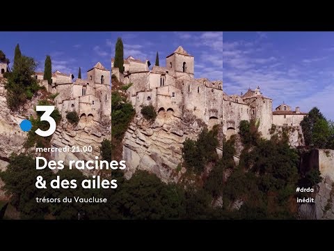 Video vignette