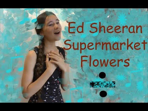 Ed Sheeran - Supermarket Flowers | Cover