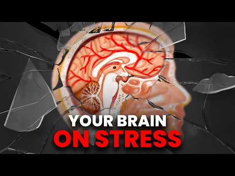 How Your Stress Is Silently Destroying Your Health | Part 2