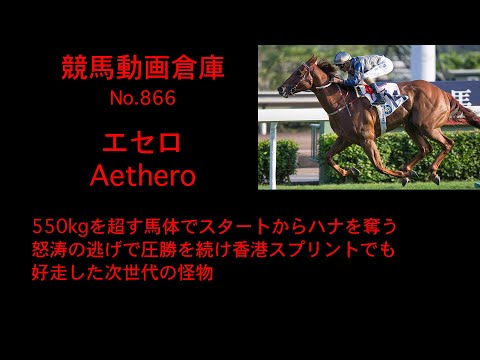 【競馬】エセロ　Aethero【No 866】