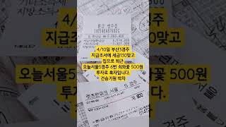#경마 세금지옥 지급조서
