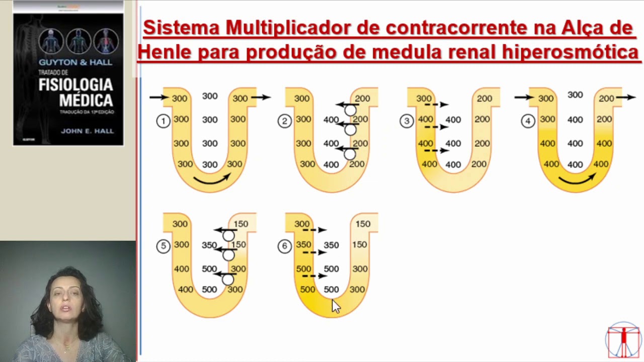 Fisiologia Renal (Controle da Osmolaridade do Meio Interno)