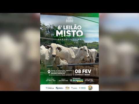 6º LEILÃO AGRO BANDEIRA E SINDICATO DE MARTINHO CAMPOS/MG - 08/02/2026